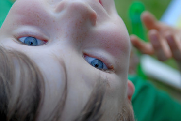 Similar image 8098887