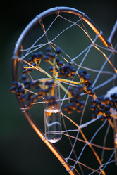 Similar image 8098888