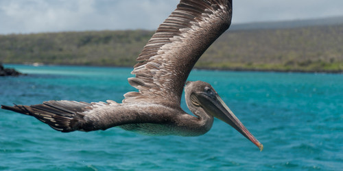 Similar image 8098890