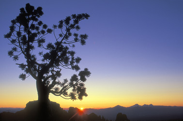 Similar image 8098891