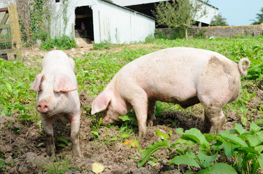 Similar image 8098893