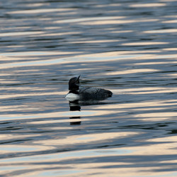 Similar image 8098894