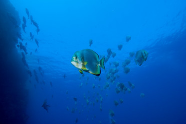 Similar image 8098896