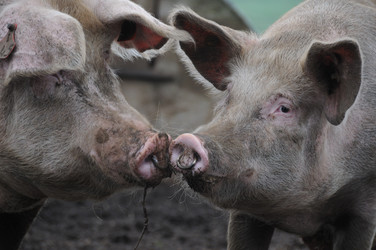 Similar image 8098898