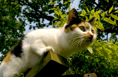 Similar image 8098899