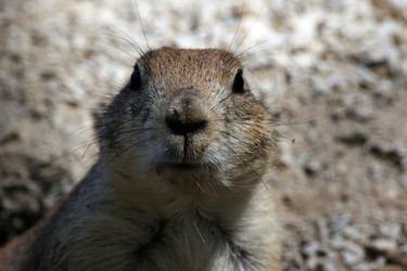 Similar image 8098901