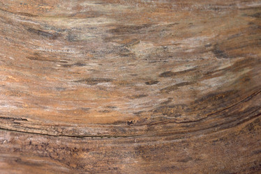 Similar image 8098904