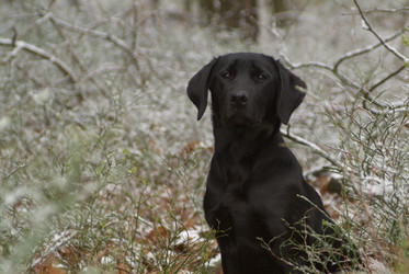 Similar image 8098905