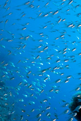 Similar image 8098913