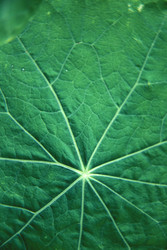 Similar image 8098917