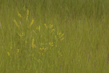 Similar image 8098918