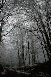 Similar image 8098920