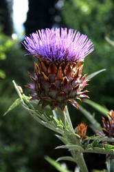 Similar image 8098926