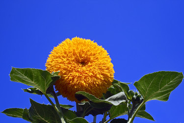 Similar image 8098930