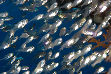 Similar image 8098934