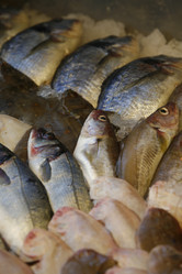 Similar image 8098936