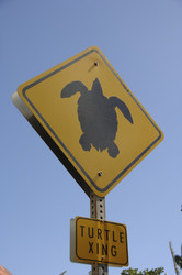 Similar image 8098940