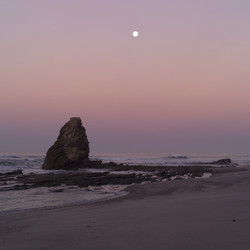 Similar image 8098941