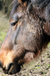 Similar image 8098943