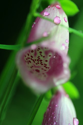 Similar image 8098948