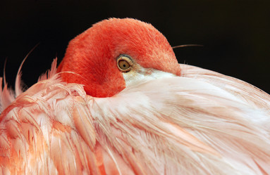 Similar image 8098949