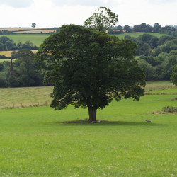 Similar image 8098956