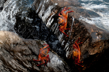 Similar image 8098962