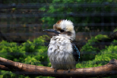 Similar image 8098971