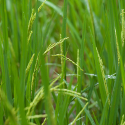 Similar image 8098972