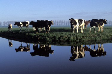 Similar image 8098990