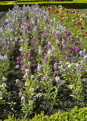 Similar image 8098992