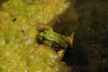 Similar image 8099000