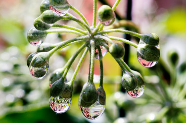 Similar image 8099005