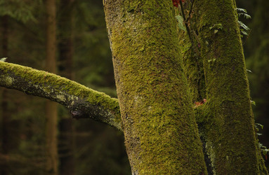 Similar image 8099014