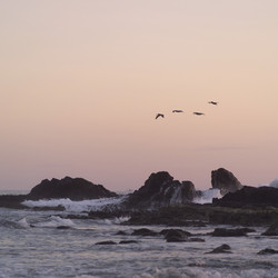 Similar image 8099018