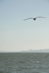 Similar image 8099023