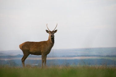 Similar image 8099024