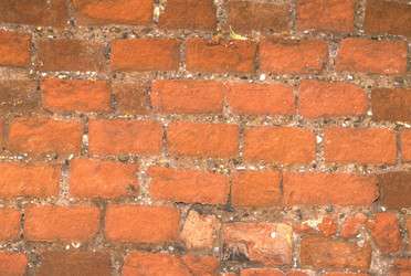 Similar image 8099027