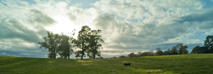 Similar image 8099032