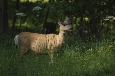 Similar image 8099039