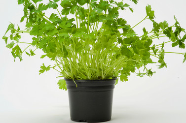 Similar image 8099046