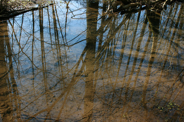 Similar image 8099049