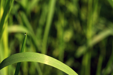 Similar image 8099050