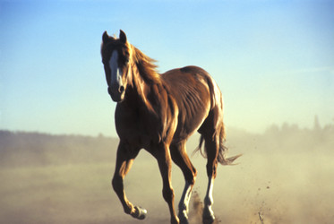 Similar image 8099053