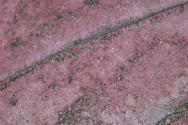 Similar image 8099055