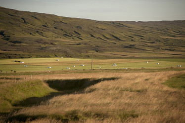 Similar image 8099072