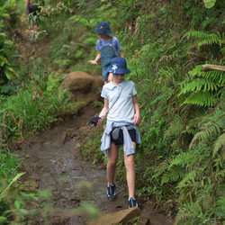 Similar image 8099075