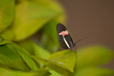 Similar image 8099078