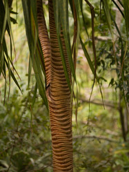 Similar image 8099080