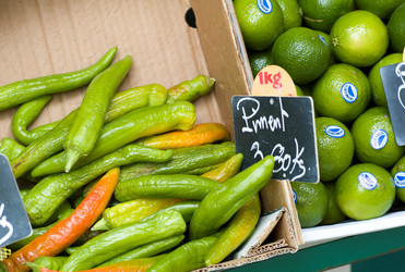 Similar image 8099101